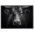 Presence of a bull - Alu-Dibond wall art