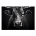 Presence of a bull - Alu-Dibond wall art