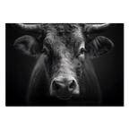 Presence of a bull - Alu-Dibond wall art