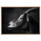 Profil d'une chèvre - Tableau mural en Alu-Dibond