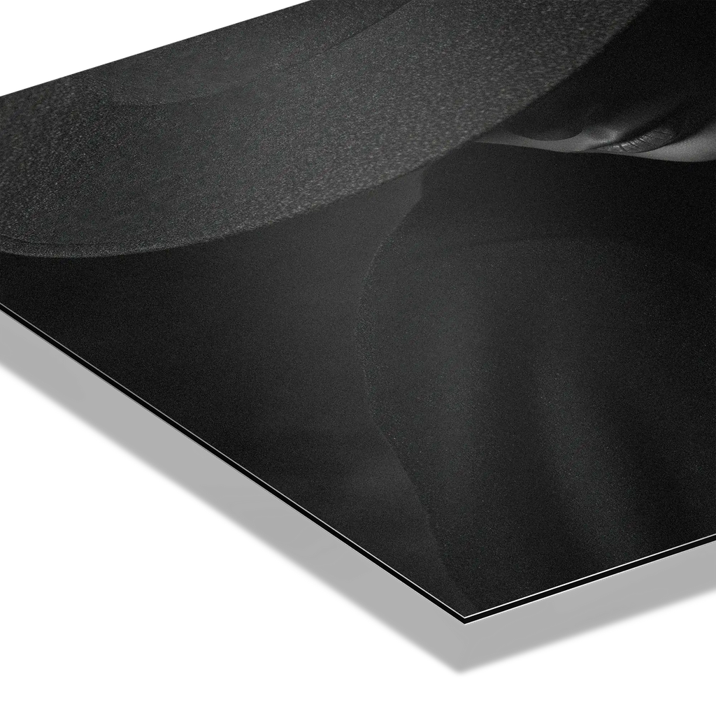 Quiet Bond of an Alpine Deer – Alu-Dibond wall art showcasing a gentle moment between a human and an alpine deer.