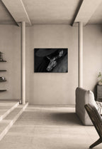 Quiet Bond of an Alpine Deer – Alu-Dibond wall art displayed in a modern living room setting.