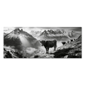 Silent Alpine Presence – Alu-Dibond wall art featuring a herd of cows on a mountain slope.