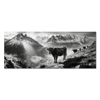 Silent Alpine Presence – Alu-Dibond wall art featuring a herd of cows on a mountain slope.