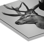 Silent Dialogue Woman and Deer – Alu-Dibond wall art featuring a majestic deer in striking monochrome.