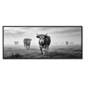 Silent Mountain Cows – Alu-Dibond wall art featuring Alpine cows in a misty landscape.