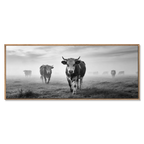 Silent Mountain Cows – Alu-Dibond wall art featuring atmospheric black-and-white cows in misty landscape