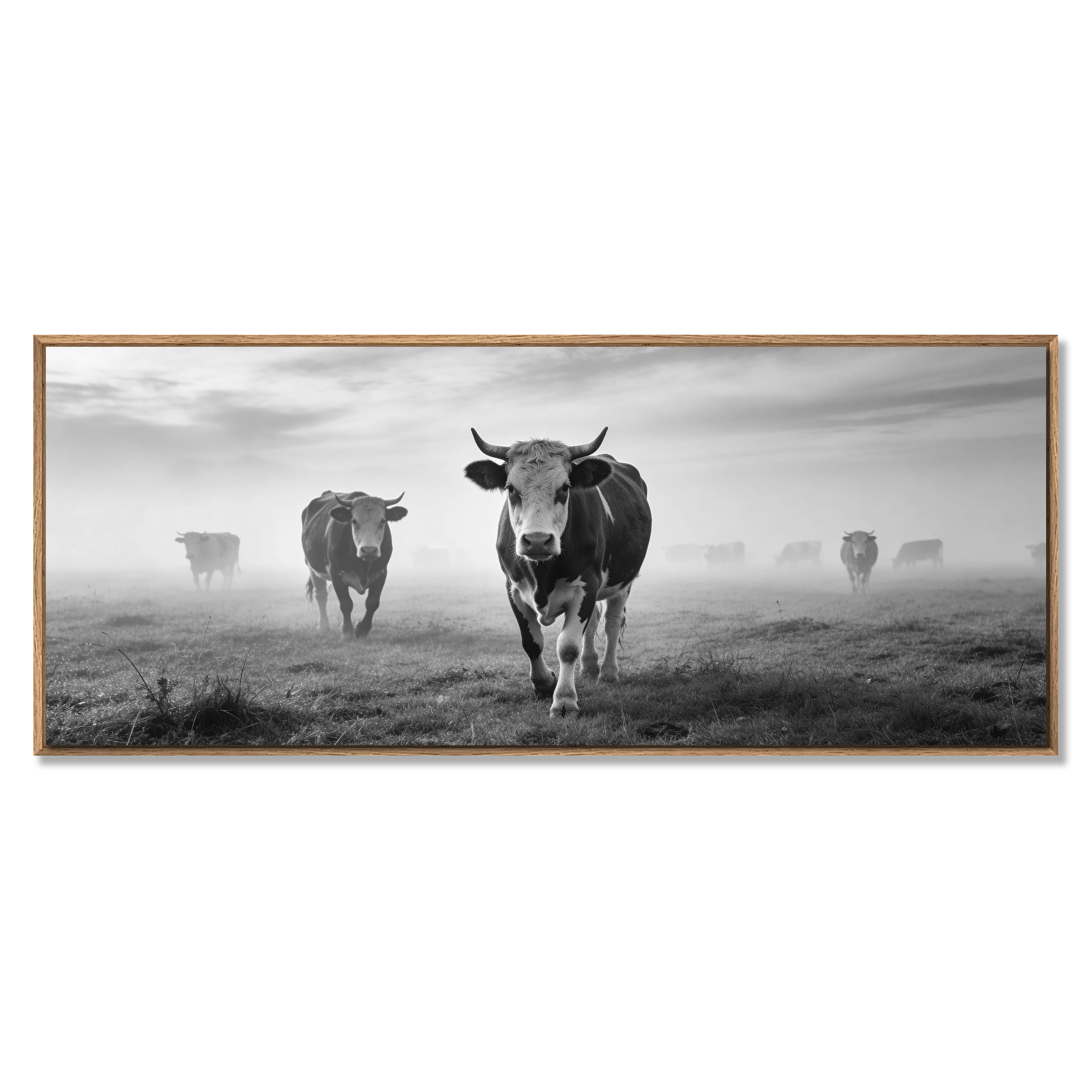 Silent Mountain Cows – Alu-Dibond wall art featuring atmospheric black-and-white cows in misty landscape