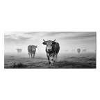 Silent Mountain Cows – Alu-Dibond wall art featuring Alpine cows in a misty landscape.