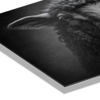 L'âme d'un mouton - Tableau mural en Alu-Dibond