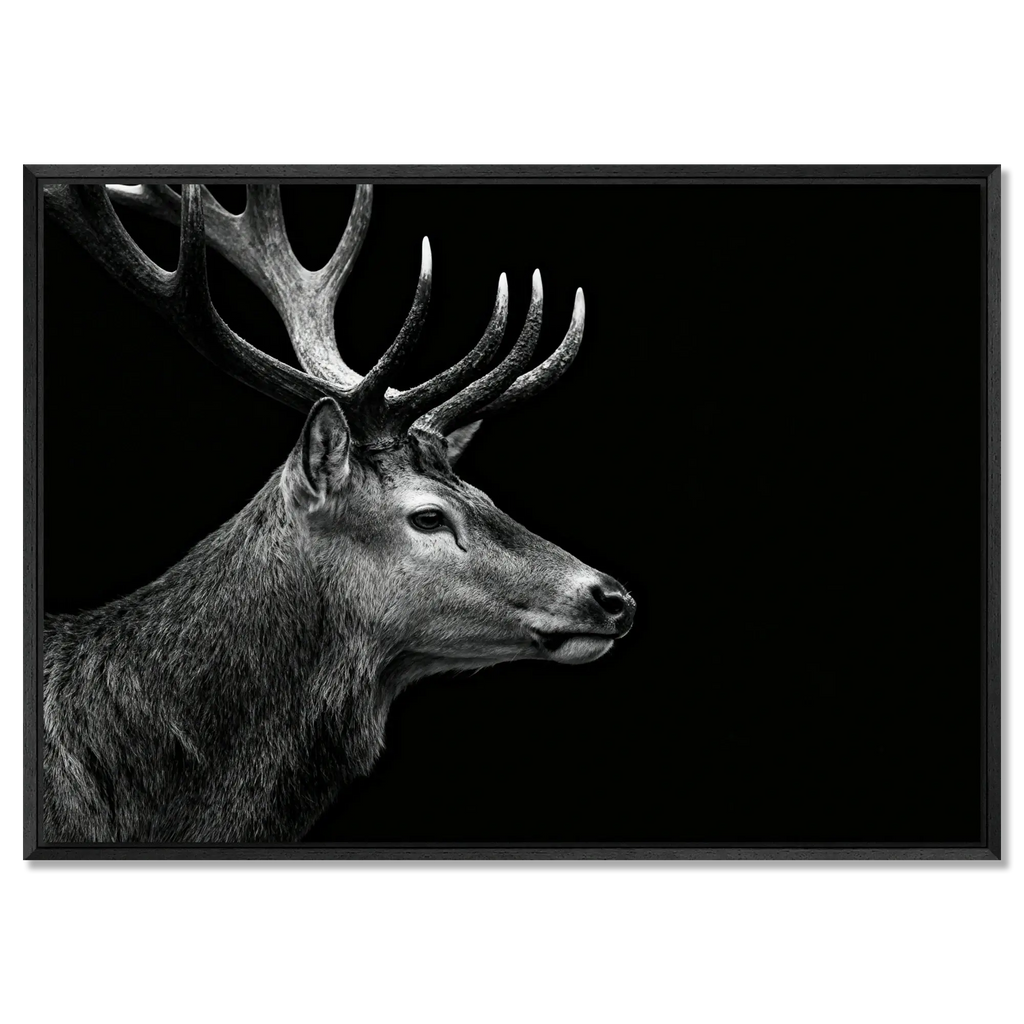 Stag Portrait Noir – Alu-Dibond wall art showcasing a majestic stag in profile against a black background.