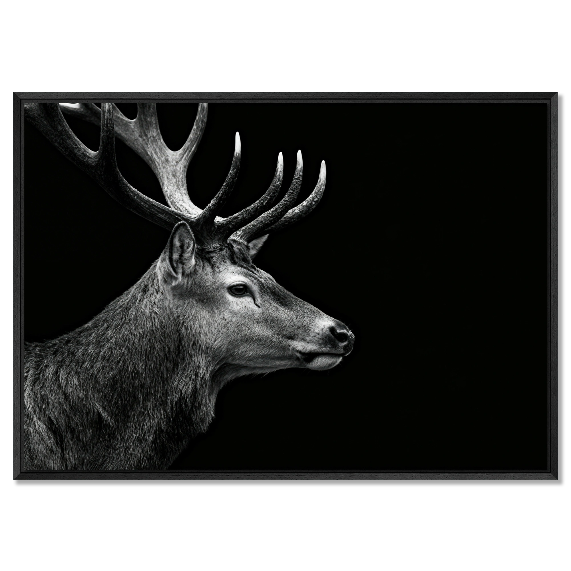 Stag Portrait Noir – Alu-Dibond wall art showcasing a majestic stag in profile against a black background.
