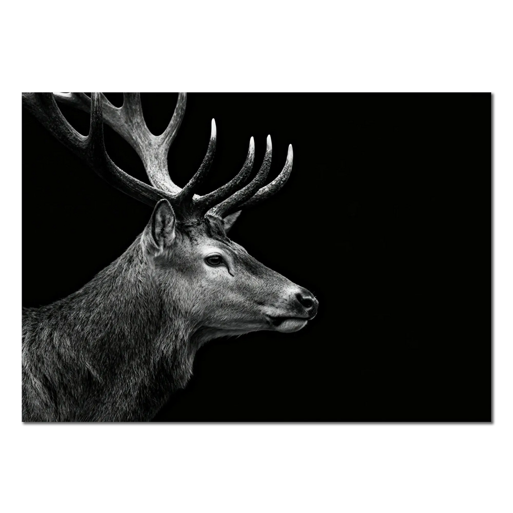 Stag Portrait Noir – Alu-Dibond wall art, majestic stag in black and white, striking profile against a dark background.