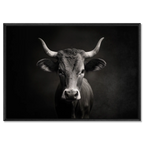 The charisma of a cow - Alu-Dibond wall art showcases a mountain cow's calm charisma in soft light and deep contrast.