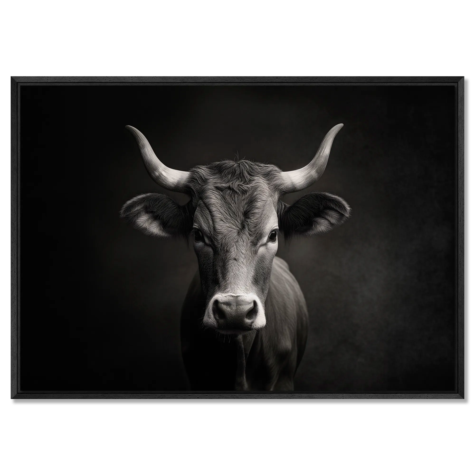 The charisma of a cow - Alu-Dibond wall art showcases a mountain cow's calm charisma in soft light and deep contrast.