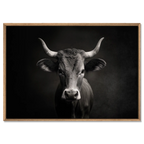 The charisma of a cow - Alu-Dibond wall art framed print showcasing a mountain cow in captivating detail.