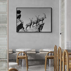 Three Ibex Summit – Alu-Dibond wall art displayed in a modern café setting.