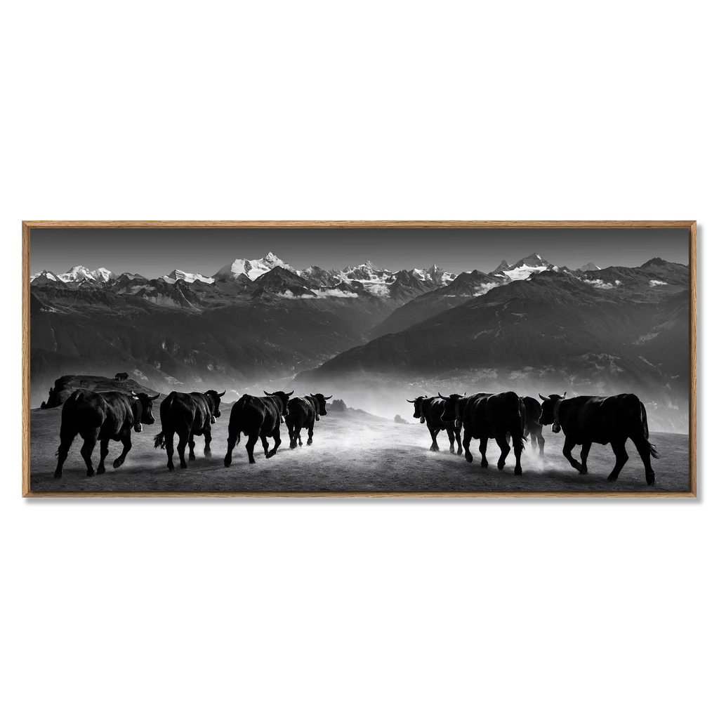 Valais Giants of Crans-Montana