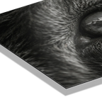 Wolf Eye Reflection – Alu-Dibond wall art, detailed close-up of wolf's eye with mountain reflection.