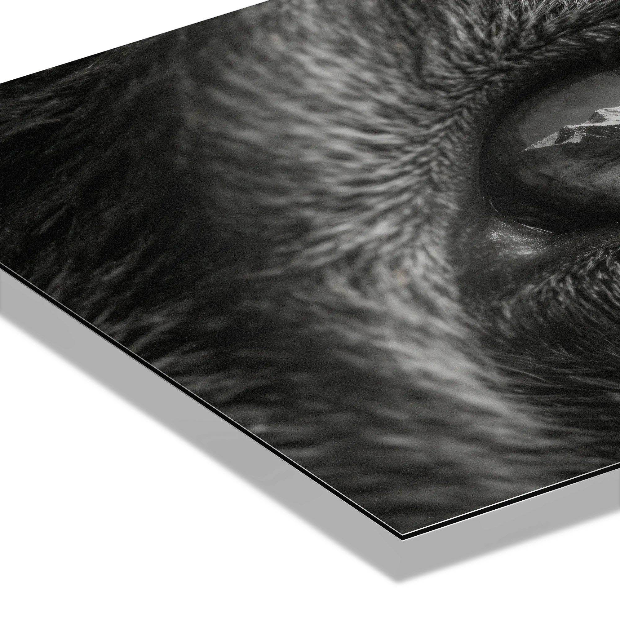 Wolf Eye Reflection – Alu-Dibond wall art, detailed close-up of wolf's eye with mountain reflection.