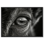 Wolf Eye Reflection – Alu-Dibond wall art featuring a close-up of a wolf's eye with mountains reflected.