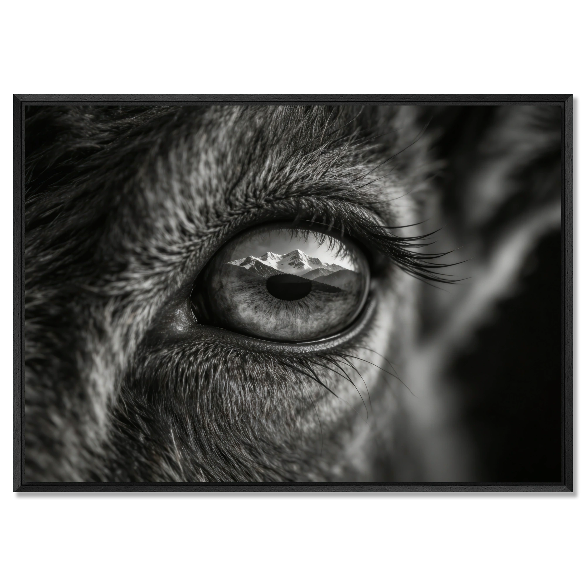 Wolf Eye Reflection – Alu-Dibond wall art featuring a close-up of a wolf's eye with mountains reflected.