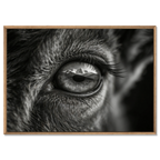 Wolf Eye Reflection – Alu-Dibond wall art featuring a close-up of a wolf's eye with mountains reflected.
