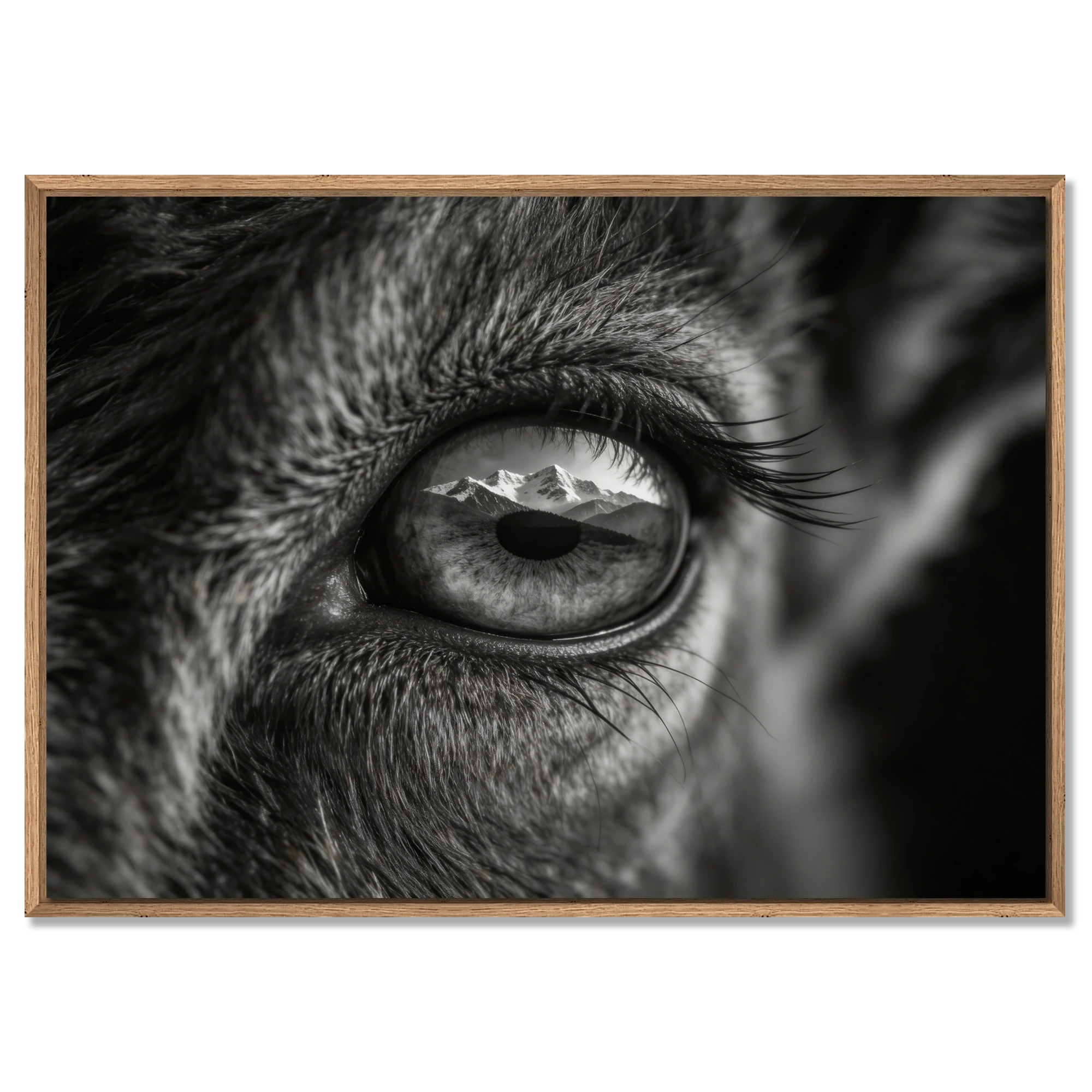 Wolf Eye Reflection – Alu-Dibond wall art featuring a close-up of a wolf's eye with mountains reflected.