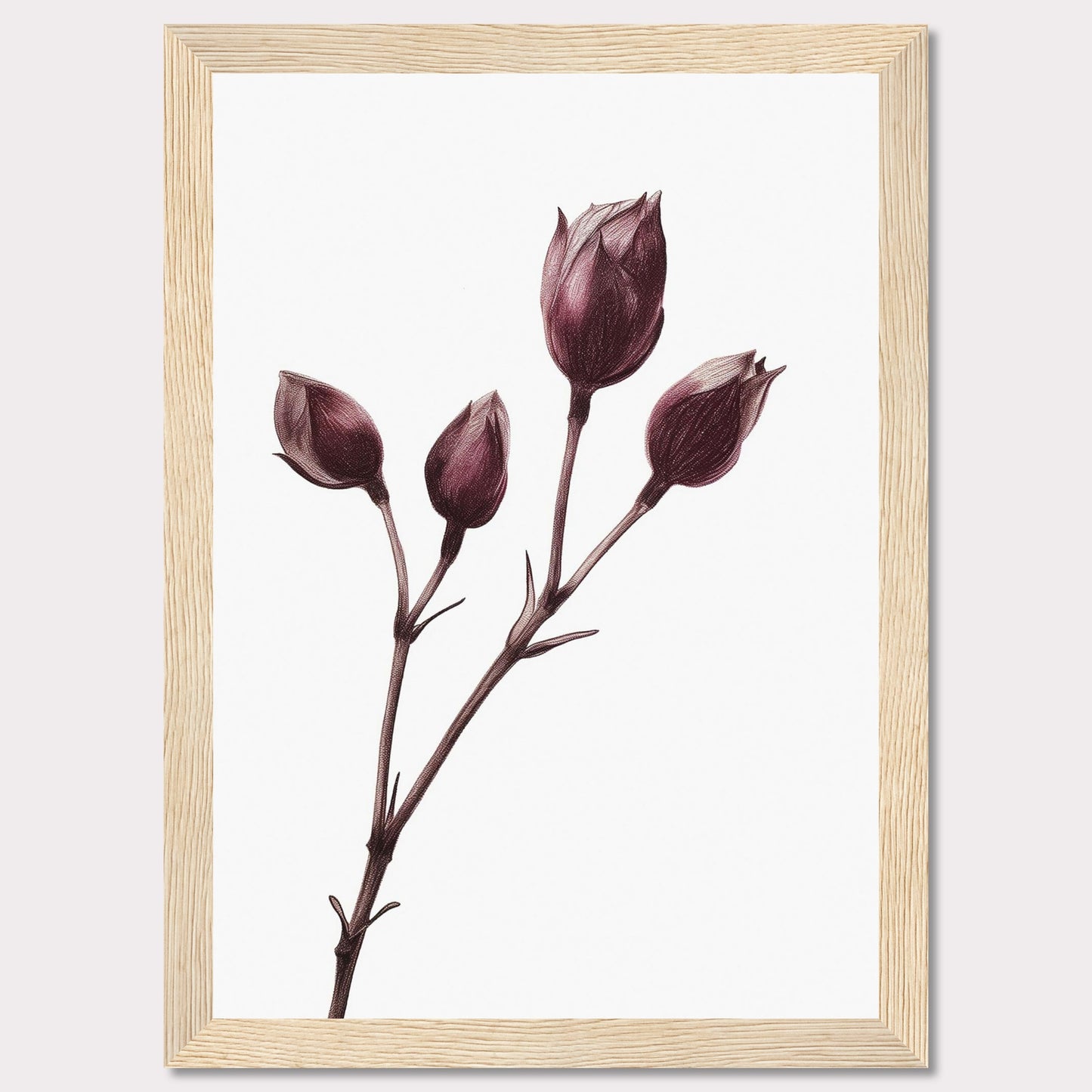 This image displays a minimalist botanical illustration of a plant with five closed flower buds, captured in a delicate and detailed manner. The artwork is framed in a simple black frame, accentuating the elegance of the drawing.