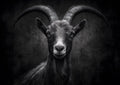 Character of a Goat