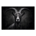 Character of a Goat