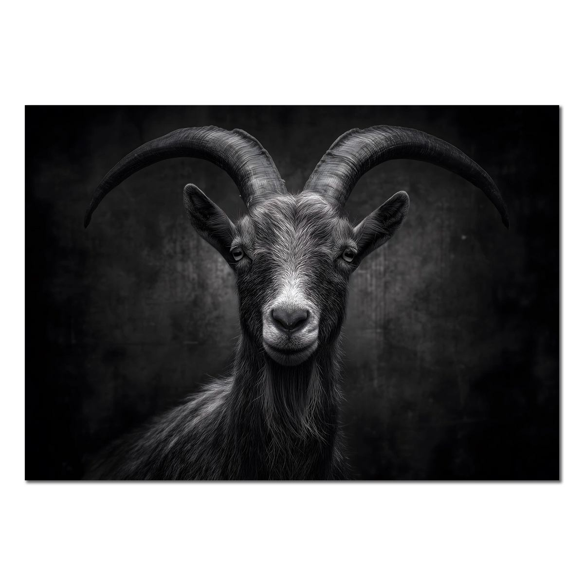 Character of a Goat