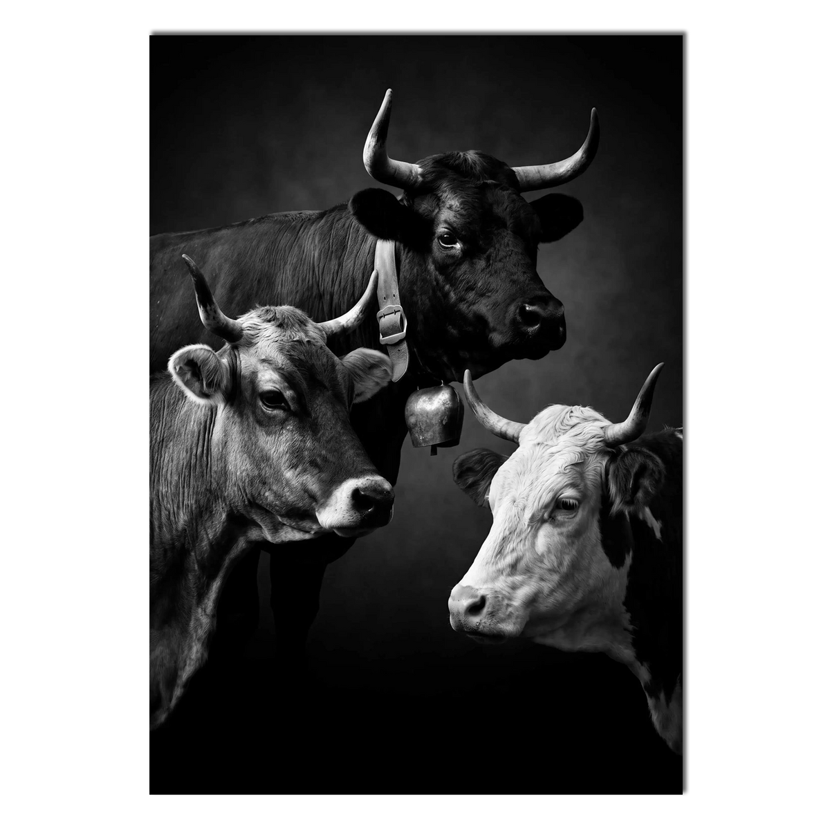 Three Faces of Switzerland