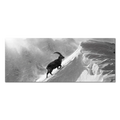 Acoustic Art Panel featuring Ibex Through the Alpine Storm artwork in black and white, 200x80 cm.