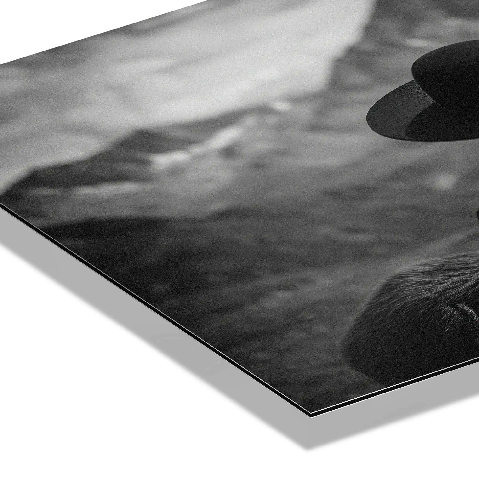 Alpine Companion and Donkey – Alu-Dibond wall art showcasing a serene alpine scene with human and donkey.