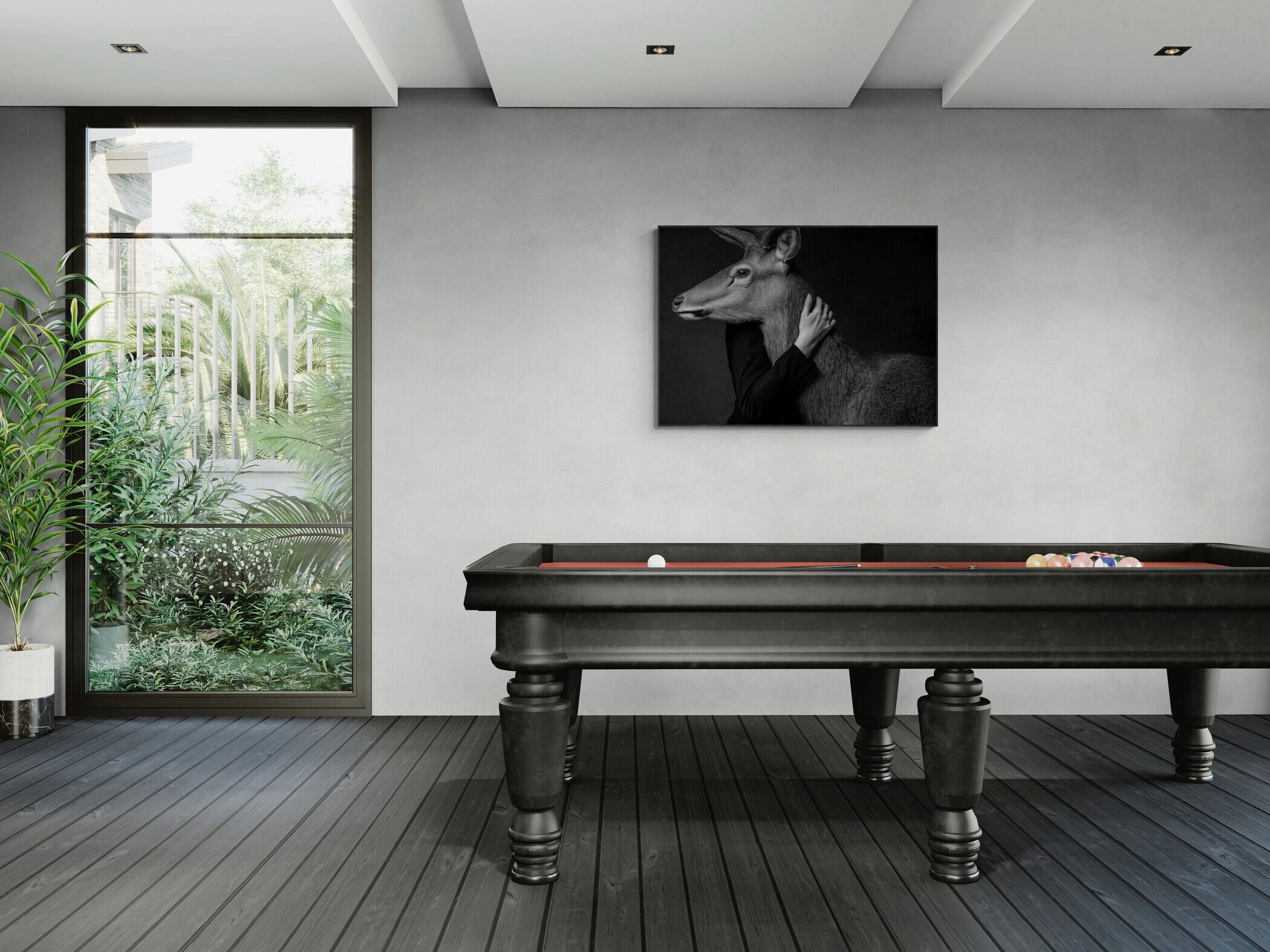 Closeness of an Alpine Deer – Alu-Dibond wall art displayed in a modern room over a billiard table.