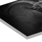 Character of a goat - Alu-Dibond wall art showcasing the alpine goat's impressive horns and textured coat.