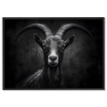 Character of a goat - Alu-Dibond wall art featuring a confident alpine goat portrait in sharp contrast.