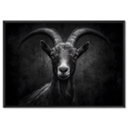 Character of a goat - Alu-Dibond wall art featuring a confident alpine goat portrait in sharp contrast.