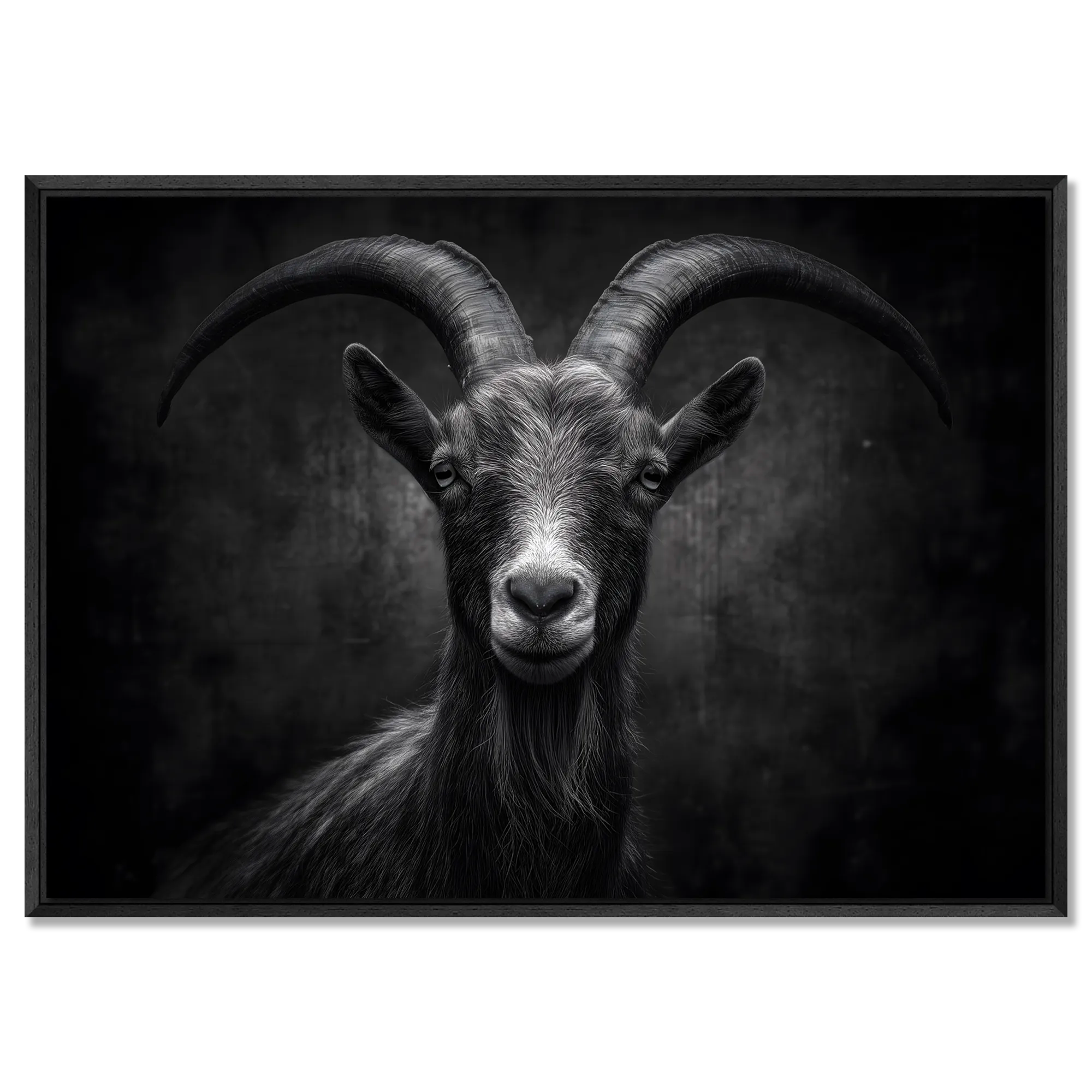 Character of a goat - Alu-Dibond wall art featuring a confident alpine goat portrait in sharp contrast.