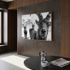 Alpine Ibex Portrait