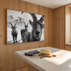 Alpine Ibex Portrait