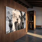 Alpine Ibex Portrait