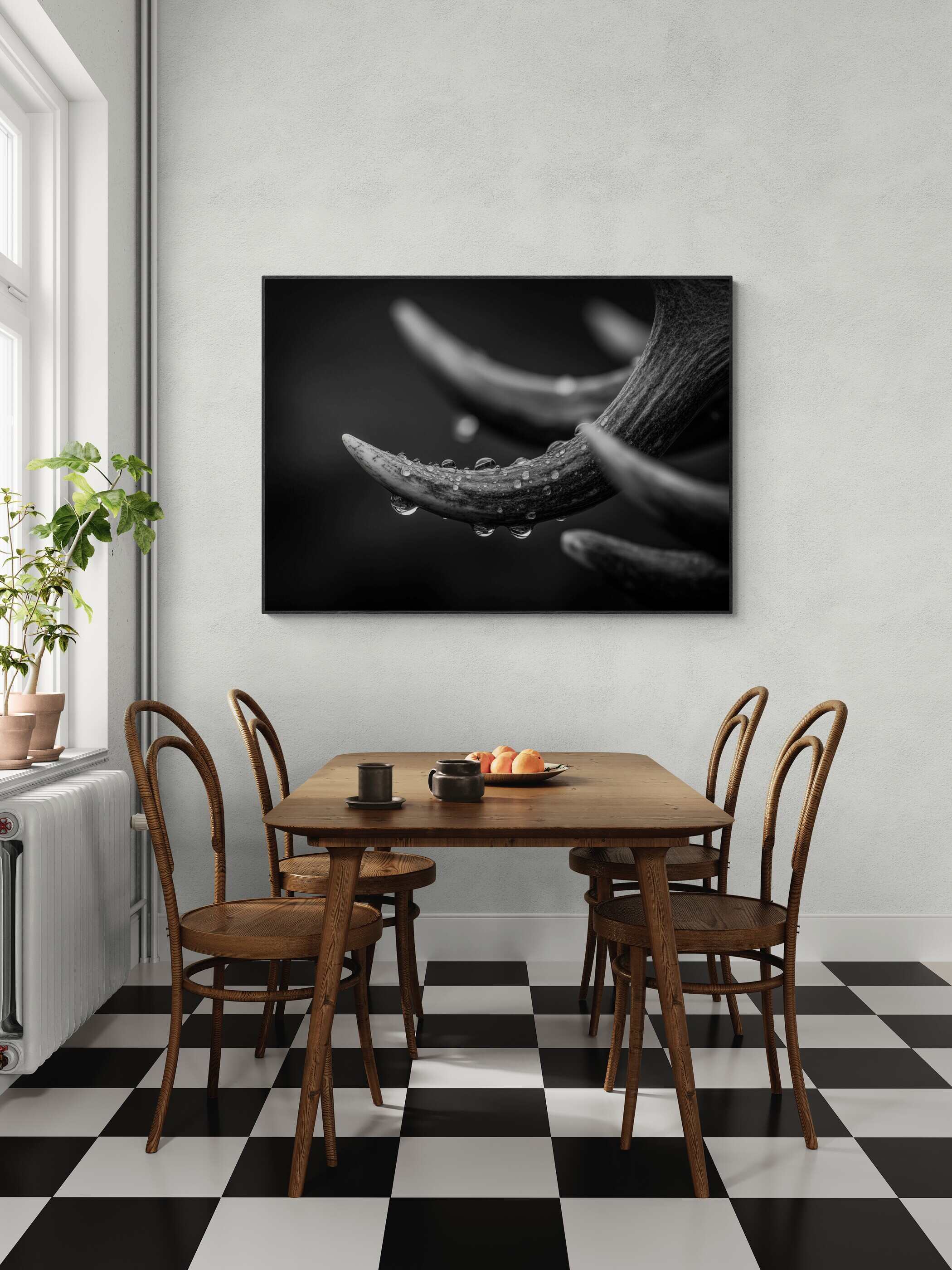 Antlers in Rain – Alu-Dibond wall art displayed in a modern dining room, showcasing detailed textures and droplets.
