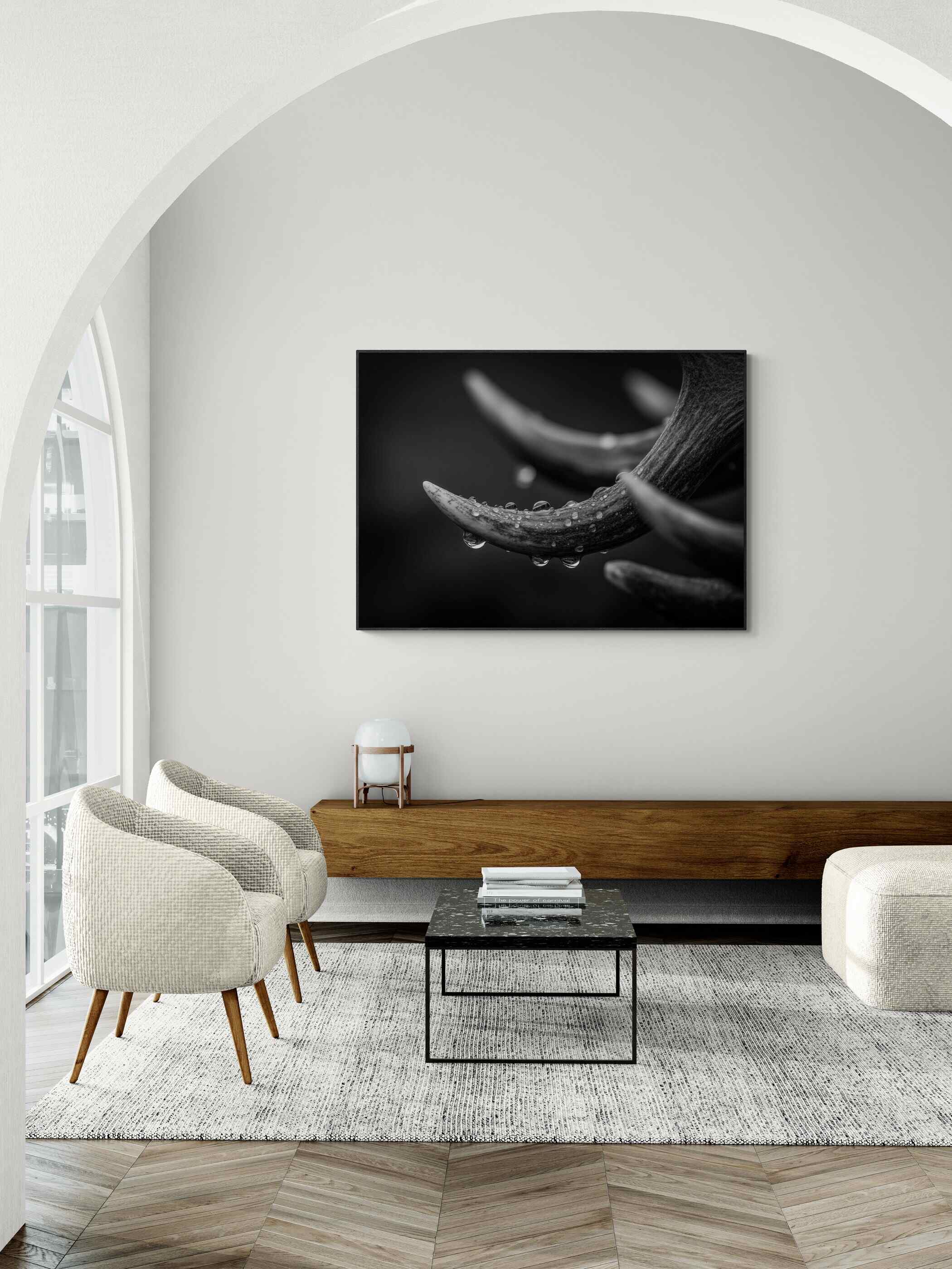 Antlers in Rain – Alu-Dibond wall art featuring textured deer antlers with raindrops, adding elegance to modern decor.