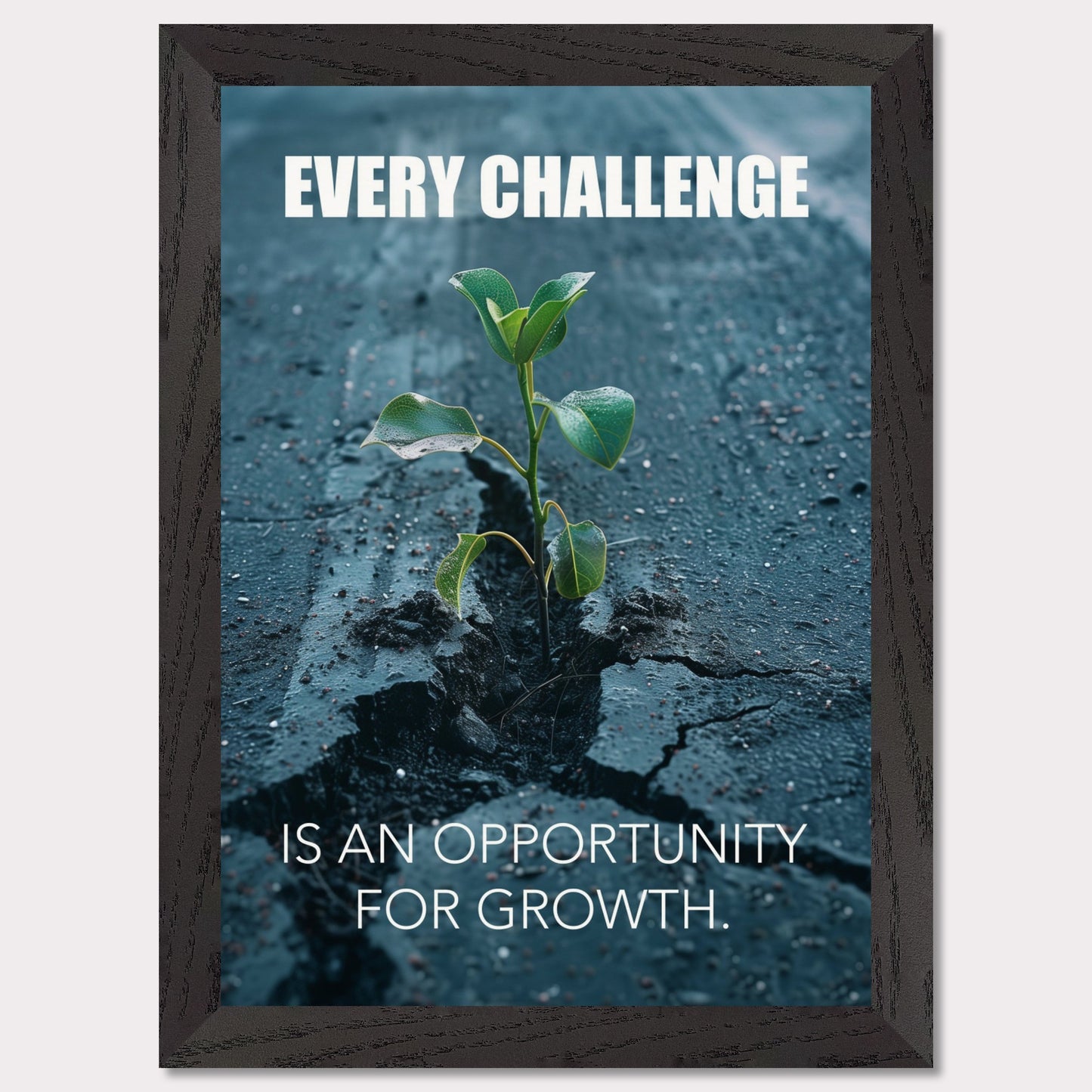 A motivational poster featuring a small green plant sprouting through a crack in the asphalt. The text on the poster reads "EVERY CHALLENGE IS AN OPPORTUNITY FOR GROWTH." The image symbolizes resilience and perseverance.