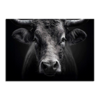 Limited Alpine Animal Posters – 70×100 cm featuring a striking black and white portrait of a cow.