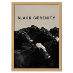 Black Serenity - Poster featuring black cows in a calm, minimal composition with a neutral background.