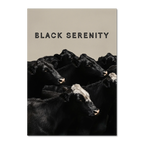 Black Serenity - Poster featuring a calm group of black cows on a neutral background, creating a modern minimalist art aesthetic.