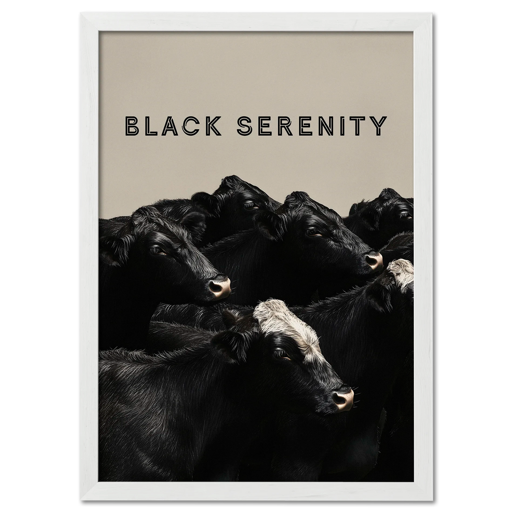 Black Serenity - Poster featuring a serene group of black cows with gentle expressions on a neutral background.